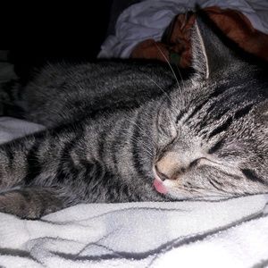 Meet your Posher, Karen